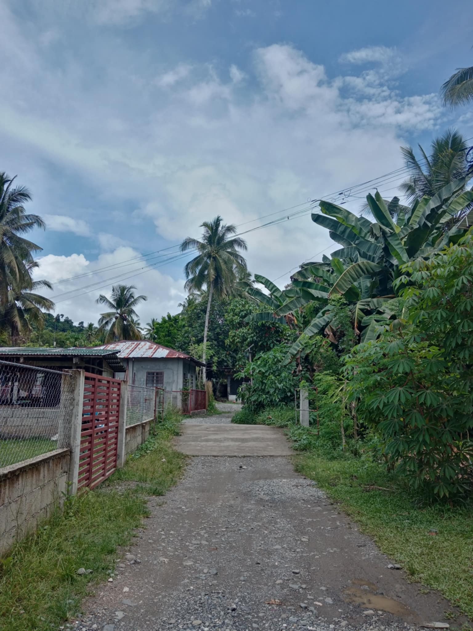 Sr. Santo Niño - Brgy. Mag-ata